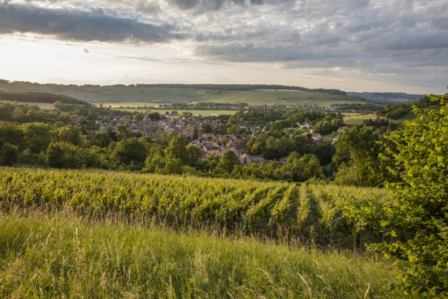 Champagne DE REKENEIRE-PETIT - 