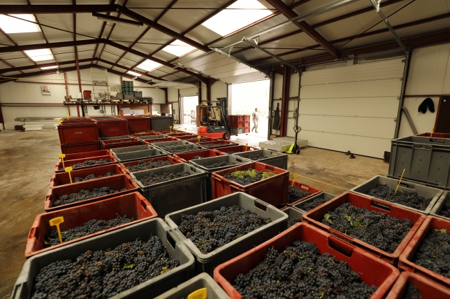 Champagne DE REKENEIRE-PETIT - 