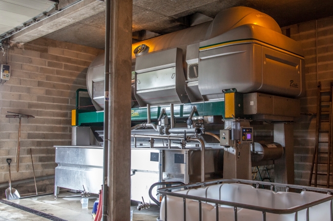 Champagne DE REKENEIRE-PETIT - 