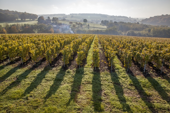 Champagne DE REKENEIRE-PETIT - 